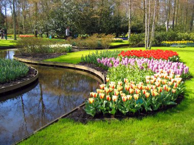 Haarlem. Botanik Bahçe, göl kıyısında çiçekler