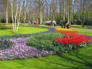 haarlem Hollanda. bir binada bir Botanik bahçe çiçekleri