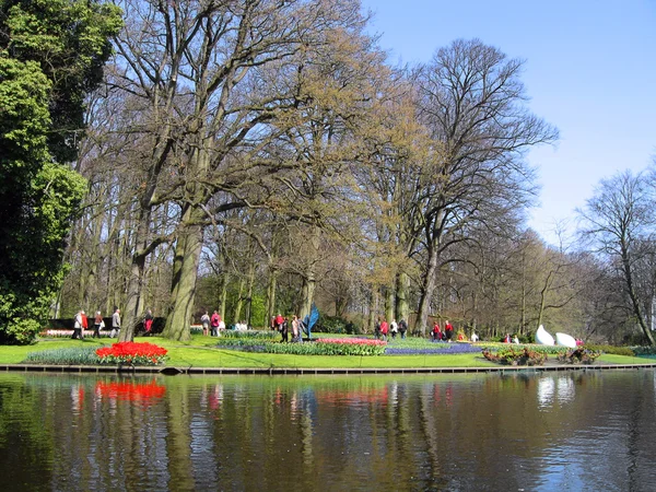 Nizozemsko Haarlem Jezero Botanické Zahradě — Stock fotografie