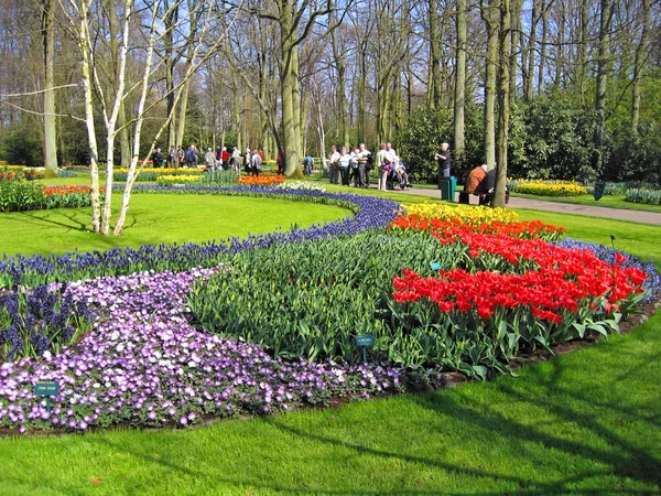 Nizozemsko Haarlem Květiny Budově Botanická Zahrada — Stock fotografie