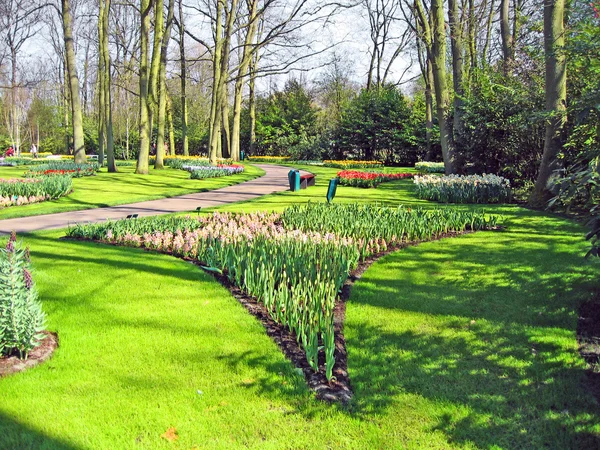 Paesi Bassi Haarlem Fiori Edificio Giardino Botanico — Foto Stock