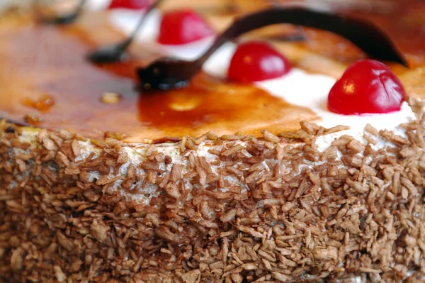 Пирог с вишней и шоколадом — стоковое фото