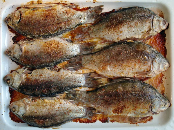 Pesce fritto il Crociano sul protwin — Foto Stock