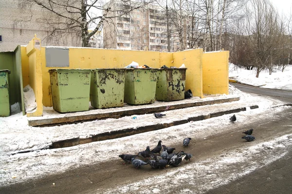 Odpadky tanky o dům a holubi v zimě, Moskevská oblast — Stock fotografie