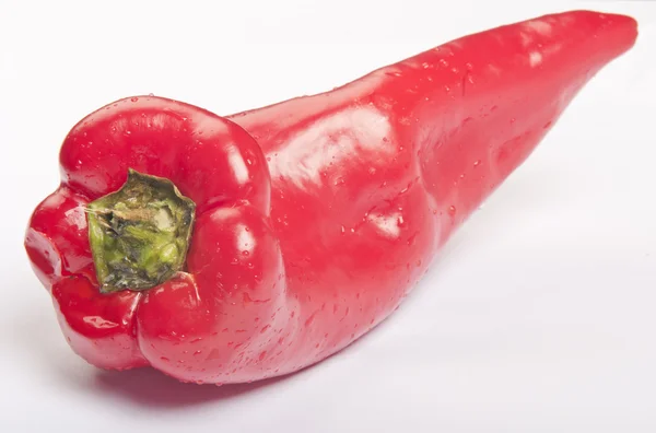 빨간 peper — 스톡 사진
