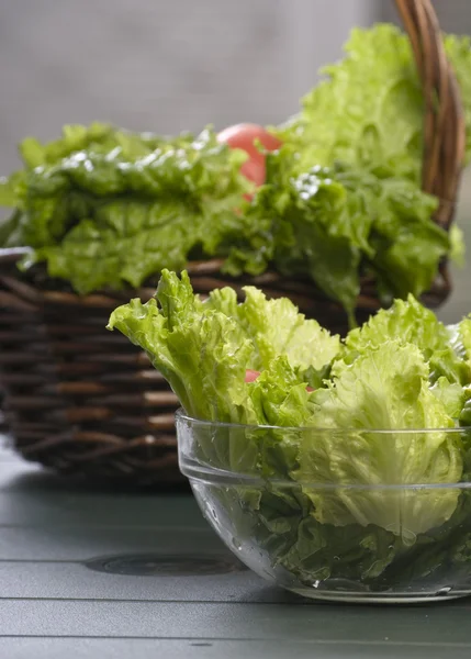 Sappige salade — Stockfoto