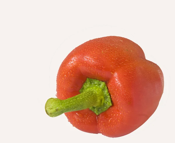 Isolerade röd paprika — Stockfoto