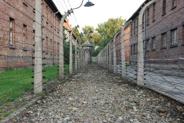 Auschwitz wire corridor clipart