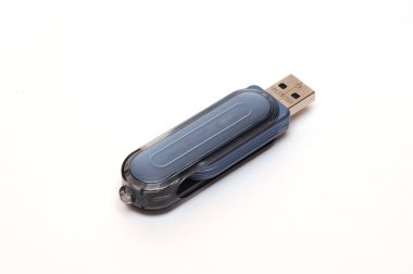 USB flash kart izole