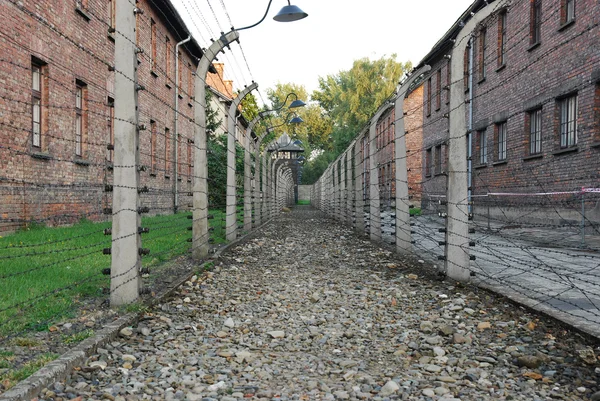 stock image Auschwitz wire corridor