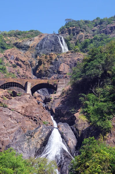Cachoeira indiana Dudhsagar na floresta selva — Fotografia de Stock