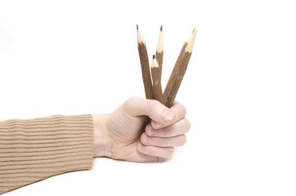 Hand with many color pencils on wite background — Stock Photo, Image