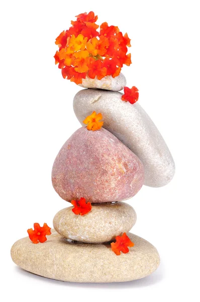 Zen kövekkel és virágok — Stock Fotó
