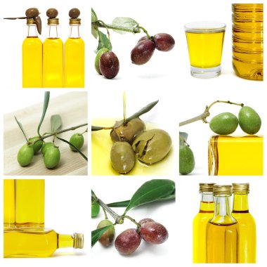 Olive oil collage clipart