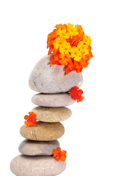 Zen Steine und Blumen — Stockfoto
