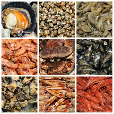 Seafood collage clipart