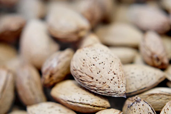 Almond dalam shell — Stok Foto