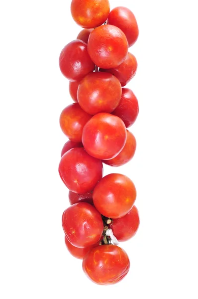 En sträng tomater — Stockfoto