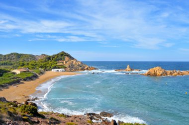 View of Cala Pregonda beach in Menorca, Balearic Islands, Spain clipart