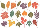 Vector illustration set of 19 autumn leaves.