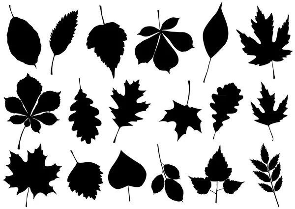 Vector illustration set of 18 autumn leaf silhouettes. — Stock Vector