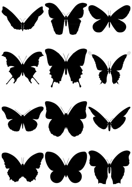 Vektor illustration uppsättning 12 fjäril silhuetter. — Stock vektor