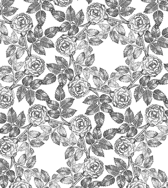 Modèle de roses — Image vectorielle