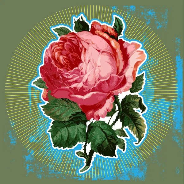 Rosa vintage — Foto de Stock