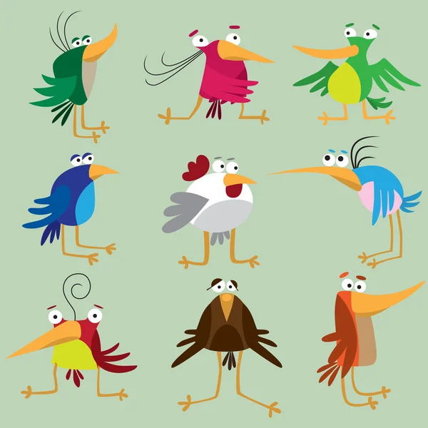 Divertido conjunto de aves — Archivo Imágenes Vectoriales