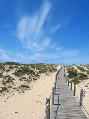 Wooden boardwalk clipart