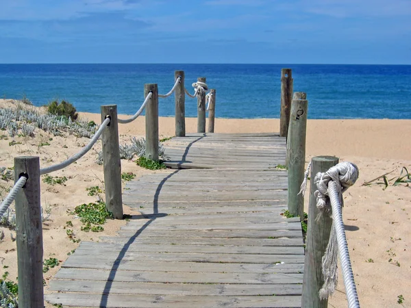 Path to beach — Stock Photo, Image