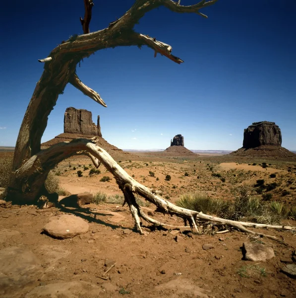 Vale do monumento, arizona — Fotografia de Stock