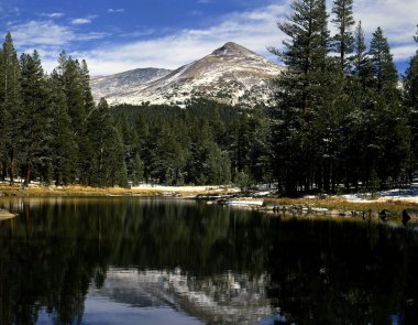 mt.Gibbs, yosemite Milli Parkı, Kaliforniya