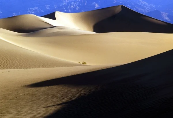 Піщані дюни — стокове фото