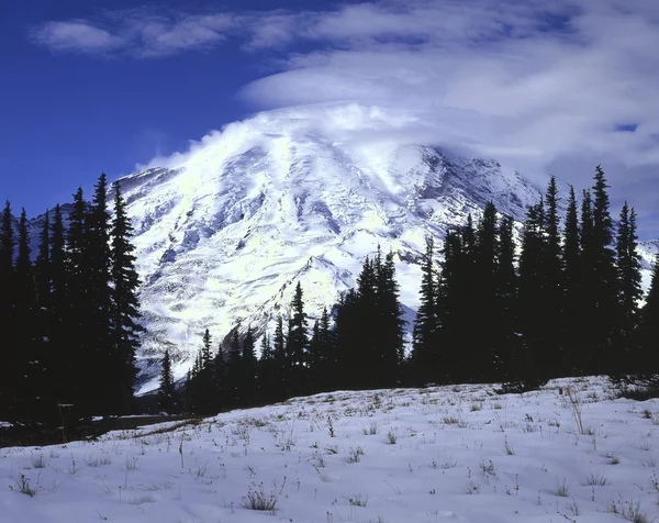 Mt.Rainier, Washington — Stock fotografie