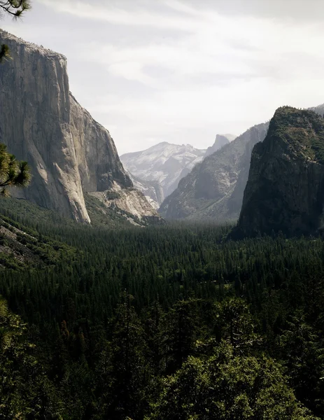 Yosemite valley, Kalifornie — Stock fotografie