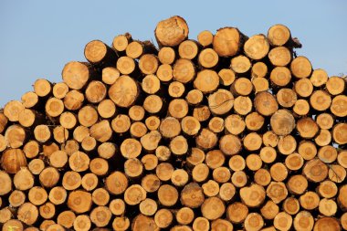 Wood stock clipart