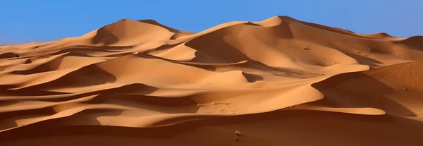 Panoramische woestijn — Stockfoto