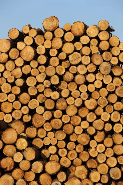 stock image Wood stock