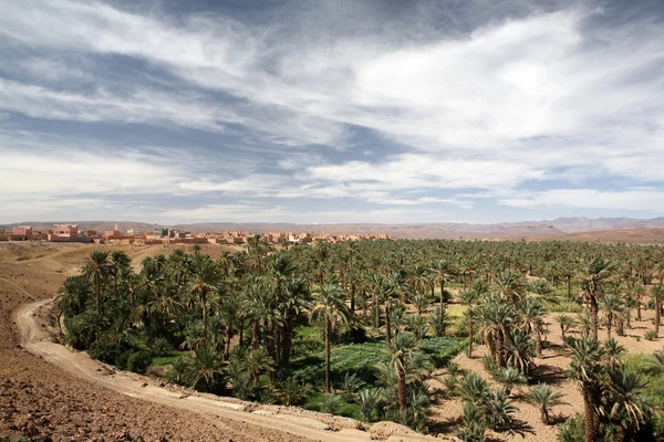 Пустыня 28 — стоковое фото