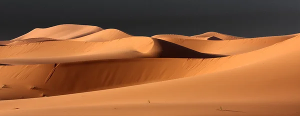 Deserto panorâmico — Fotografia de Stock