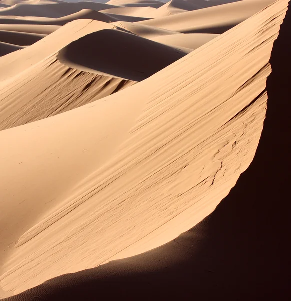 砂漠の広場 — ストック写真