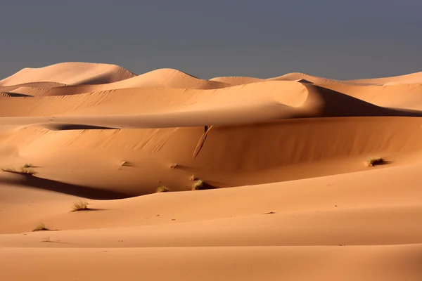 Espírito do deserto — Fotografia de Stock