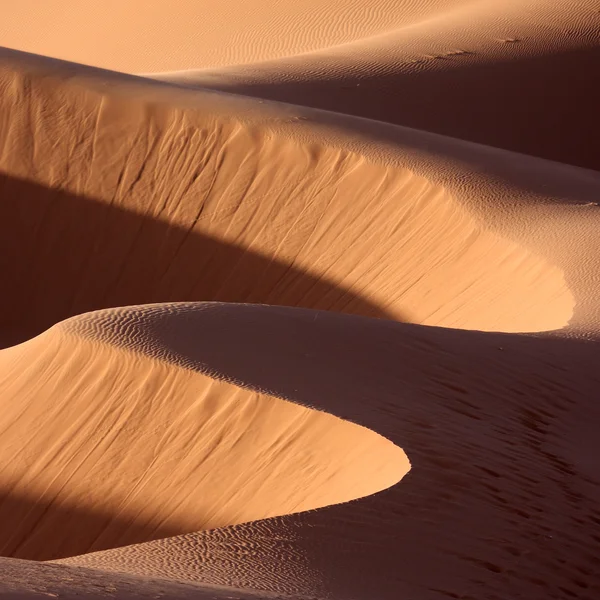 Пустыня 15 — стоковое фото