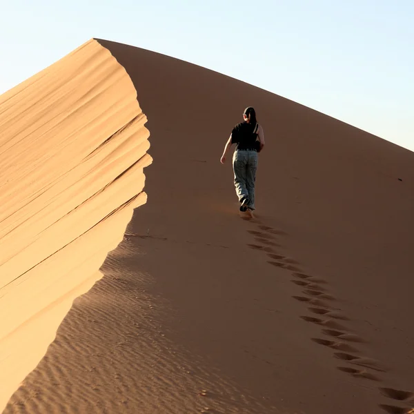 砂漠の 13 — ストック写真