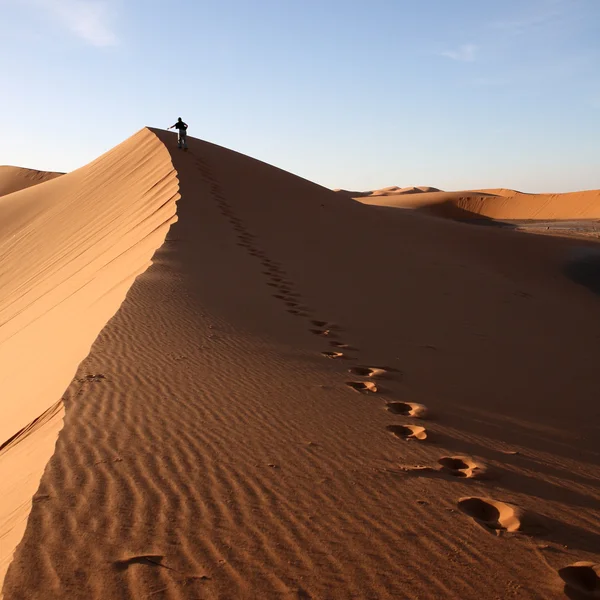Woestijn 12 — Stockfoto