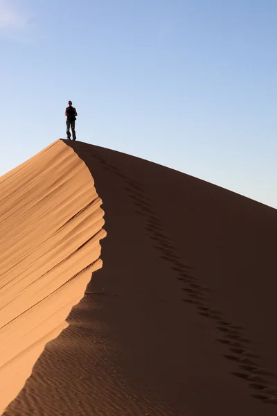 11 사막 — 스톡 사진