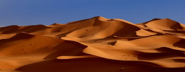 Desert crepuscule — Stock Photo, Image