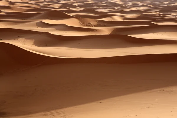 Пустеля 9 — стокове фото