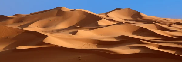 Panoramische woestijn — Stockfoto